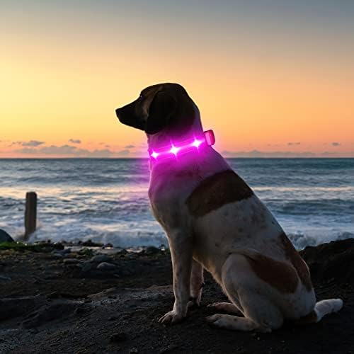HZK Light Up Нашийник за кучета, Led Светлинен Нашийник с USB батерията с ярка подсветка, Водоустойчив Мига