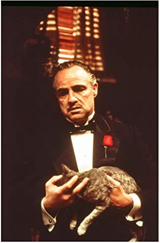 Кръстникът на Марлон Брандо в ролята на Дон Вито Корлеоне, Заснет пояс Снимка с размери 8 х 10 см