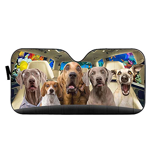 Сенника На Предното стъкло на автомобила със забавна Куче, Водачът на кучето Бигъл, Слънчеви Очила На Предното