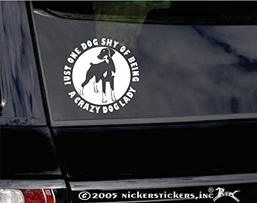 Само едно Куче се Срамуват да бъде Луд Кучешки Дама ~ Доберман-Пинчер Vinyl Стикер На Прозореца на Автомобил